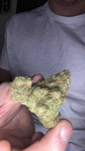 Customer photo review of NYC Diesel THCA Flower