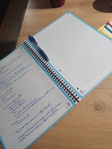 Avis photo d'un client sur Cahier à spirales COLOR SYSTEM OXFORD # Couverture polypro souple coloris Bleu - 180 pages A4 détachables - grands carreaux - 5 couleurs de cadres