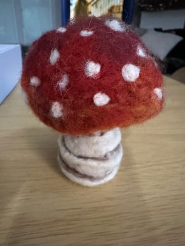 Customer photo review of Sophie Wheatley's Felted Fungi Supplies Box