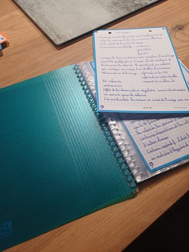 Avis photo d'un client sur OXFORD Protège-documents pour fiches bristol A5 School Life # 80 vues / 40 pochettes - Plastique - Bleu