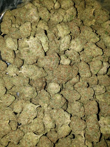 Customer photo review of Shipping Protection by Route