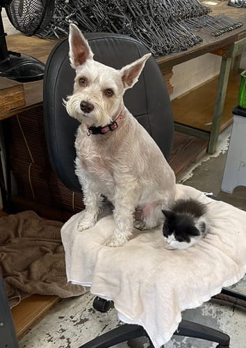 Customer photo review of DA-1™ Daily All-in-One Complete Care