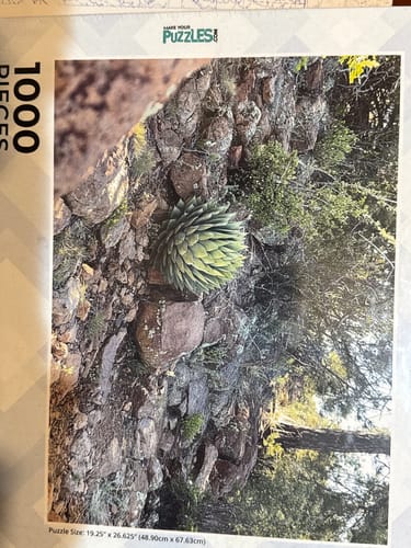 Customer photo review of 1000 Piece Custom Puzzle | Personalized Custom 1000 Piece Puzzle