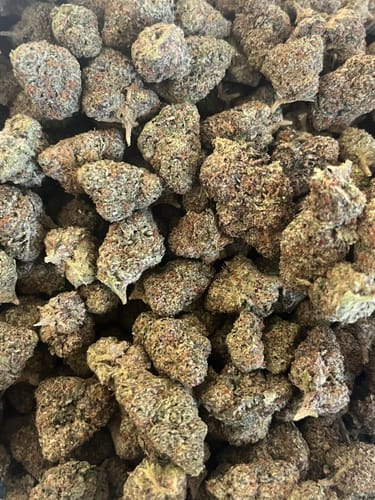 Customer photo review of Shipping Protection by Route