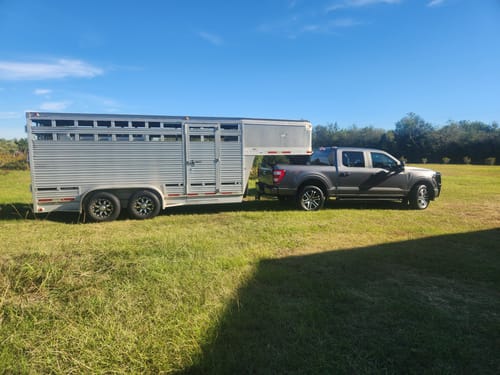 Customer photo review of Ford F-150 (4WD) 2021 -2024 | HD Kit