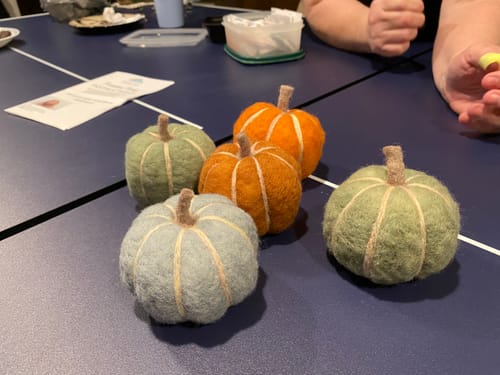 Customer photo review of Pumpkin Party Needle Felting Kit