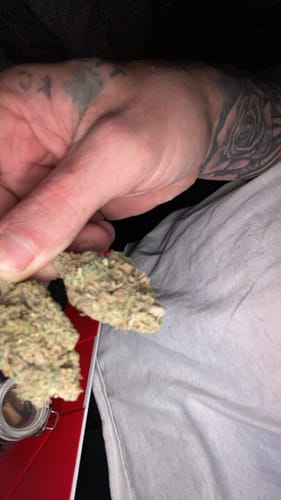 Customer photo review of Acapulco Gold THCA Flower