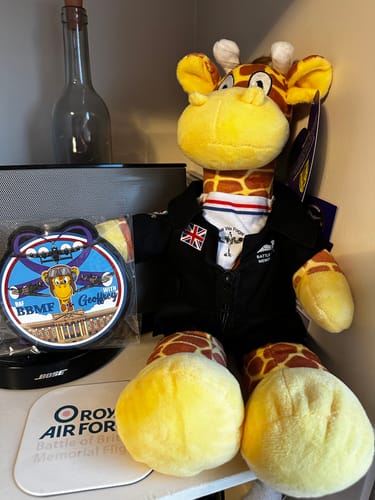 Adam review of BBMF Suit for 9in Bear image 1 out of 1