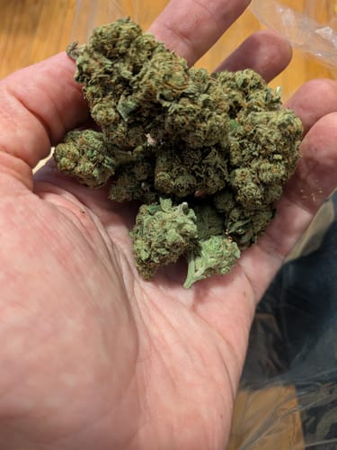 Customer photo review of Laughing Gas - Bulk - Hybrid