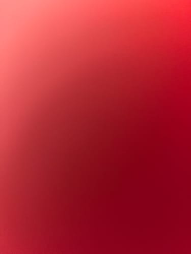 Customer photo review of Multi Strain Biotic