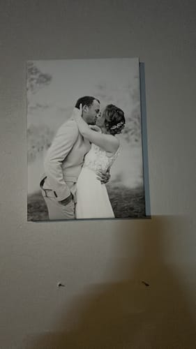Customer photo review of 6 x A4 Canvas Combo