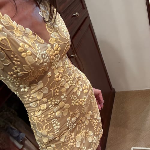 Customer photo review of Mini Length Double V-Neck Dress