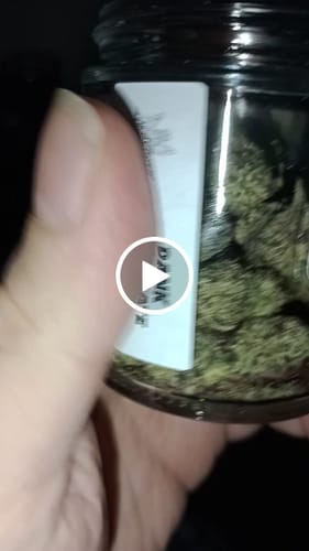 Customer video review of Dank Chocolate Chip Exotic THCA Flower
