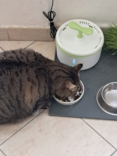 Customer photo review of Crocchette gatto formula Anatra e Mirtilli metà prezzo