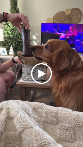 Customer video review of Smoked Beef Marrow Bone