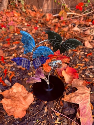 Customer photo review of Queen's TikTok Live - Experience Reviews