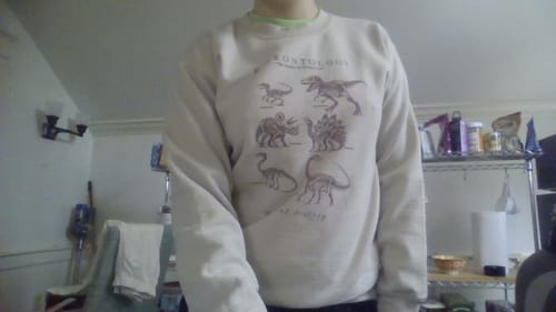 Customer photo review of Paleontology Fossil Education