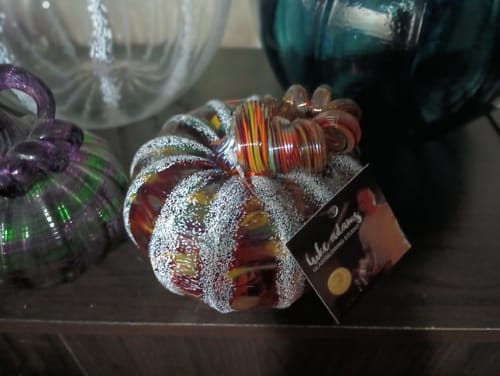 Customer photo review of Apple Cider Doughnut Squat Pumpkin