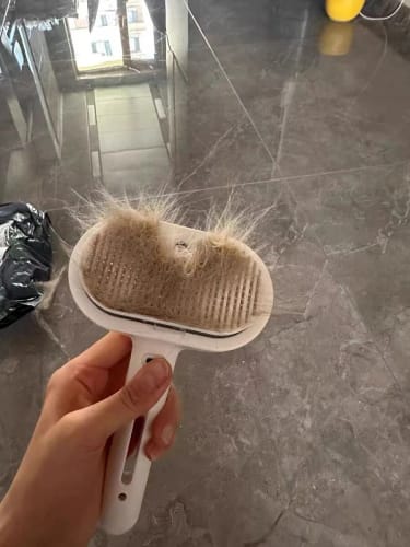 Customer photo review of Pups Furry - Dog Brush Australia