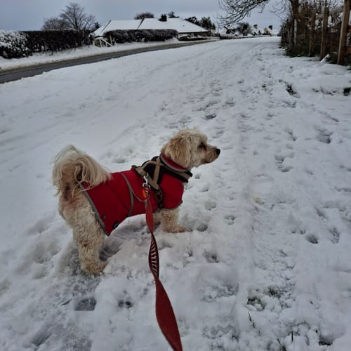 Customer photo review of Stormguard Softshell Summer Rain Coat