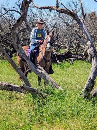 Customer photo review of Osteo-MAX & Gut X » up to 27% Savings