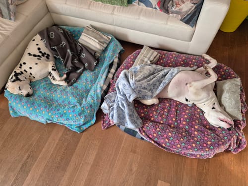 Customer photo review of Divanetto Cotone Panama Scozzese Quadro Verde Blu