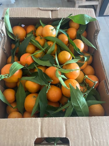 Yveline C. review of Clémentines Bio - Origine Corse image 1 out of 1