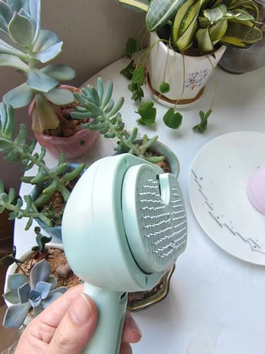 Customer photo review of Pups Furry - Dog Brush Australia