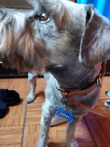 Customer photo review of Placa: Mandala