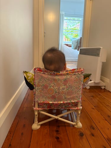 Customer photo review of Paloma baby chair