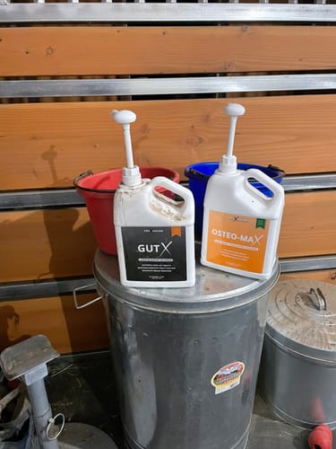 Customer photo review of Osteo-MAX & Gut X » up to 27% Savings