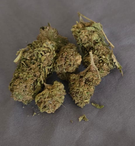 Customer photo review of THCA Flower Budget Buds