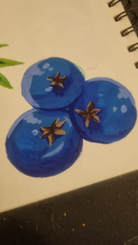 Customer photo review of Himi - Set 48 Gouache Potes 12 g Green