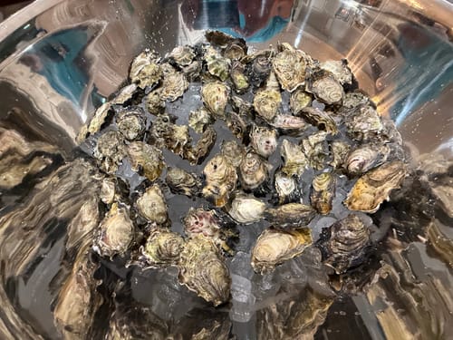 Customer photo review of Pacific Oysters