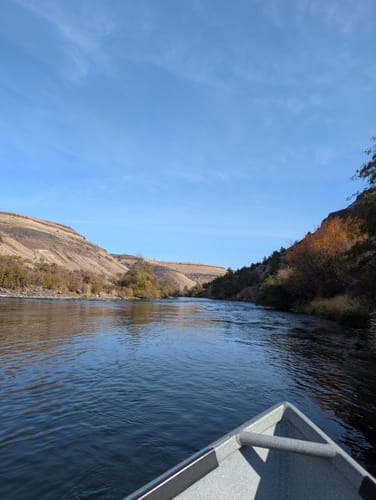 Customer photo review of Lower Deschutes River | Guided Float Trip - Full Day