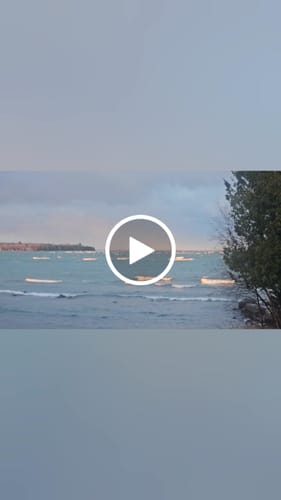 Customer video review of FloraFlex 900W Full Spectrum LED Grow Light with Custom Diodes