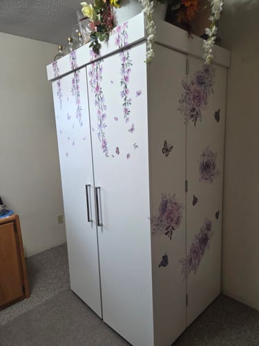Customer photo review of DreamBox
