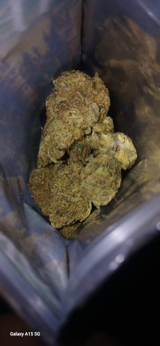 Customer photo review of White Tahoe Cookies - Indoor THCA (Full Size)