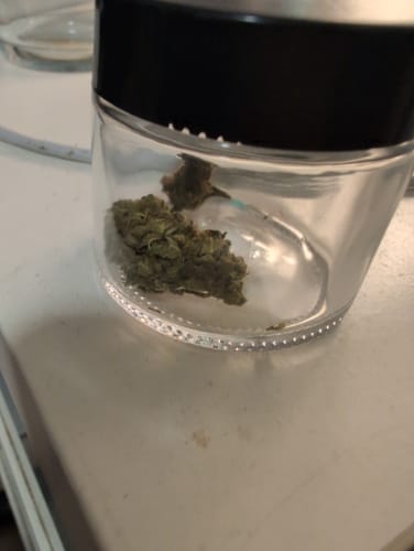 Customer photo review of 🎁 FREE GIFT | Og Sour - CBD Blüte (100% off)