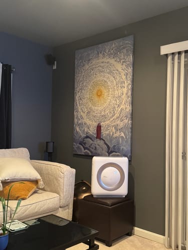 Customer photo review of Vision of The Empyrean - Divine Comedy