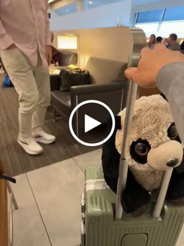 Tuan B. review of Carry-On: All-in-One image 1 out of 1