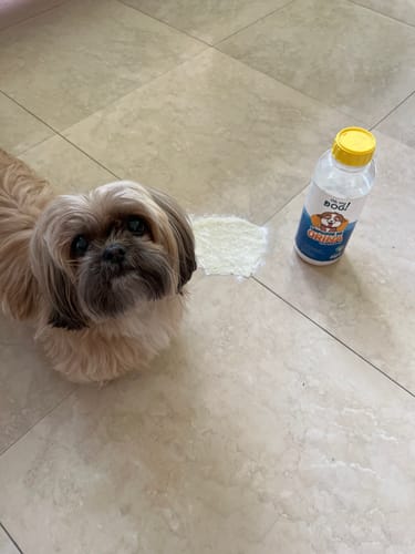 Customer photo review of Maxi Combo (Pack Completo: Removedor + Solidificador)