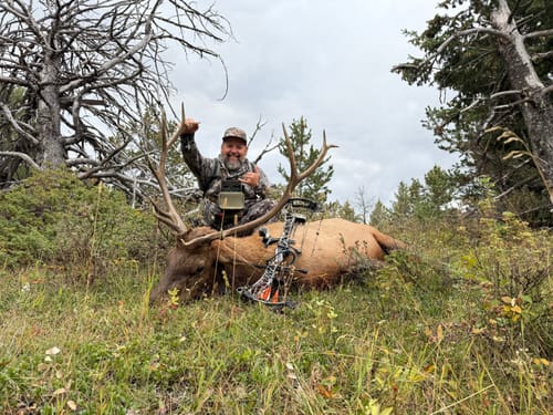 Customer photo review of Titanium Broadheads