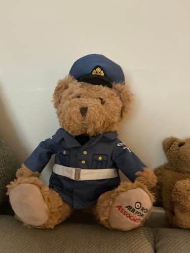 Karen review of 9" RAF No1 Uniform Bear image 1 out of 1
