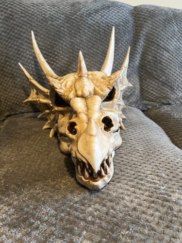 Customer photo review of Skeleton | Dragon | Skull