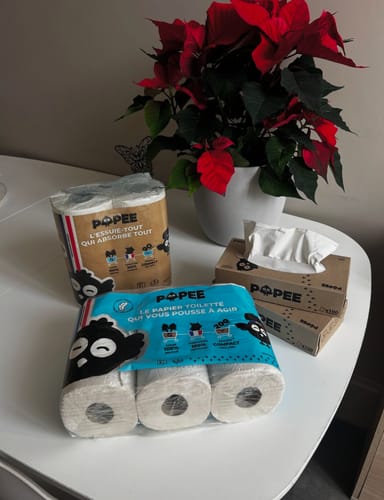 Customer photo review of KIT DÉCOUVERTE - Papier toilette, essuie-tout, mouchoirs