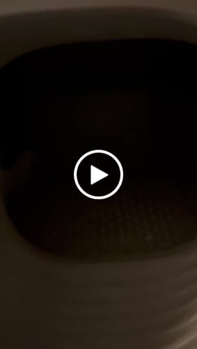 Customer video review of Self-Cleaning Litter Box