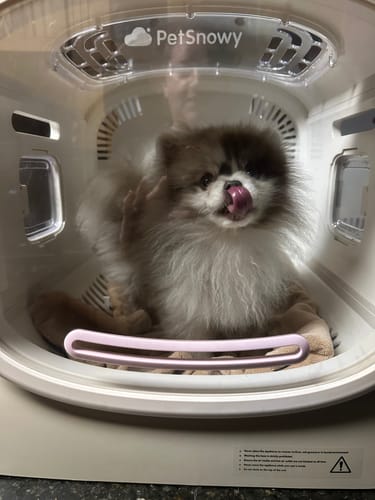 Customer photo review of Pet Dryer Box