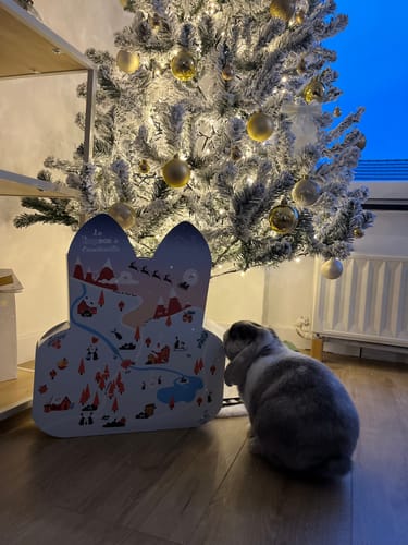 Customer photo review of Calendrier de l’Avent - La Hopbox à CarotteVille