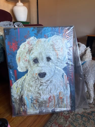 Customer photo review of Custom Pet Portrait - Abstract Style